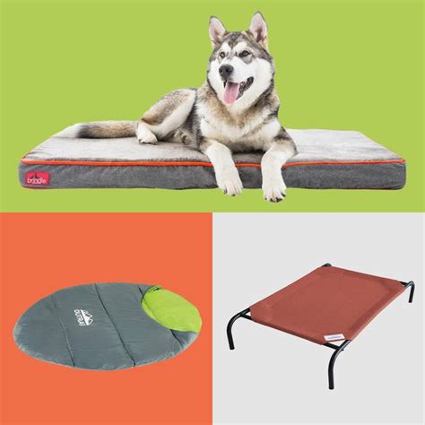 8 Best Waterproof Dog Beds | The Family Handyman