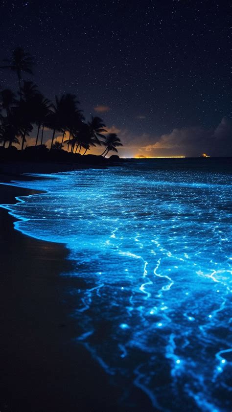 Free 4k, hd wallpaper sea, glow, shore, palm trees, night, starry sky, tropics, background hd ...