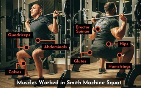 Smith Machine Squat: How To, Benefits, Drawbacks, Should You Do It?