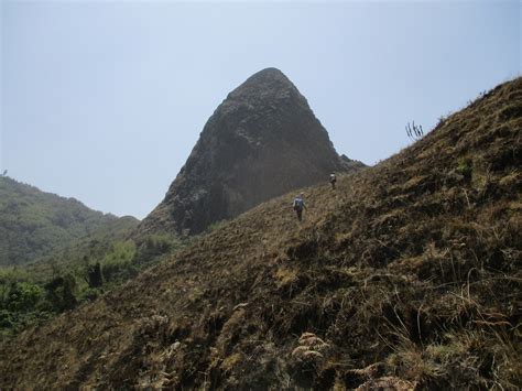 Cameroon: Trees, Water and Endangered Wildlife — TreeSisters