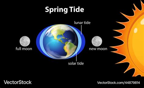 Spring Tides 2024 Uk 2024 - Amitie Goldarina