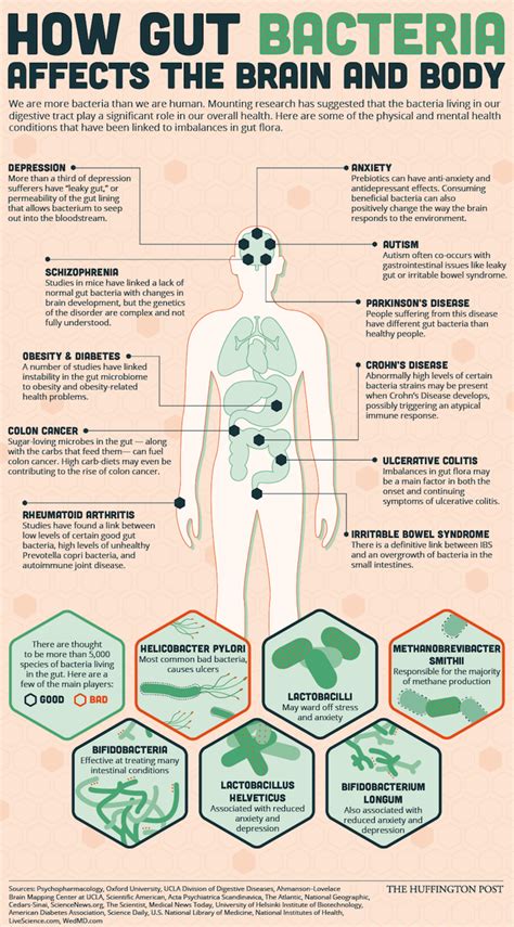 Probiotics Benefits