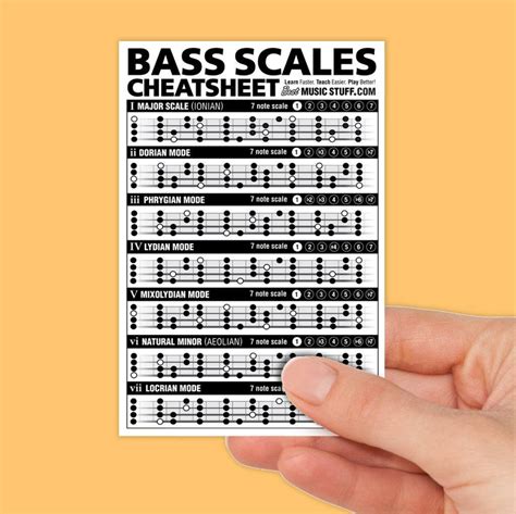 Bass Guitar Scales, Bass Guitar Notes, Bass Guitar Chords, Bass Guitar ...