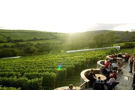 The 7 Best Vineyards to Visit in the UK – Big 7 Travel