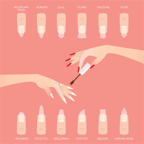 The Ultimate Guide to 12 Different Nail Shapes | Allure