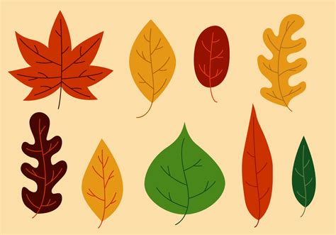 Free Leaves Vector 116347 Vector Art at Vecteezy