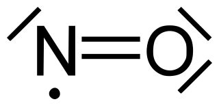 Difference Between L Arginine and Nitric Oxide | Compare the Difference Between Similar Terms