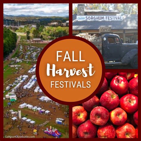 Autumn Harvest Festivals in Scenic North Georgia Mountains🍂