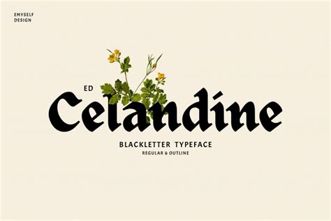 ED Celandine FONT Download