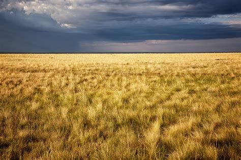 Great Kazakh steppe, Kazakhstan, ... | Stock image | Colourbox