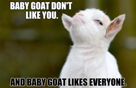 White Goat Memes