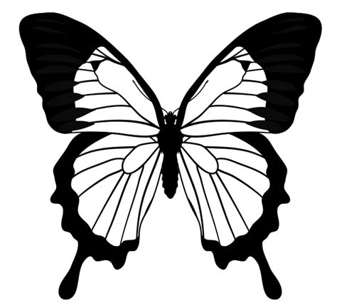 Butterfly Drawing Outline - ClipArt Best