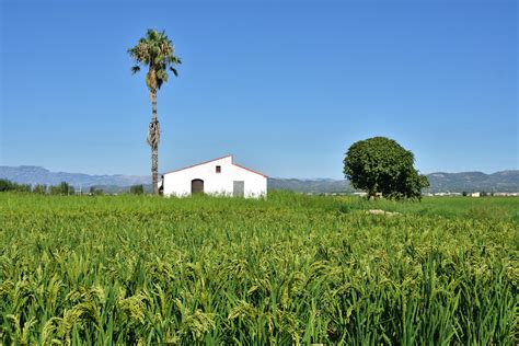 Ebro river Delta - Camping Cases