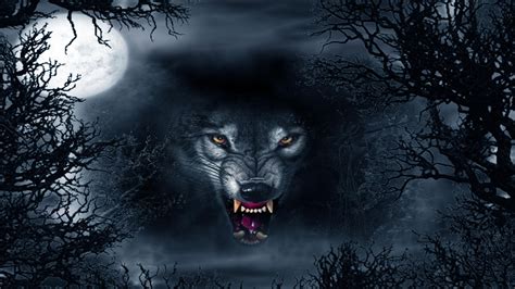 Evil Wolf Eyes In The Dark