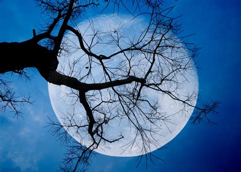 Don’t Miss Thursday’s Harvest Moon—the Last Supermoon of 2023