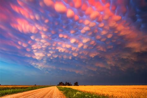 Mammatus clouds at sunset are mesmerising : r/pics