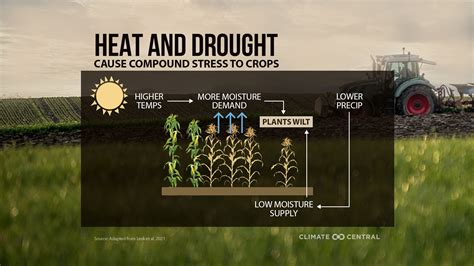 Climate Change & Crops | Climate Central