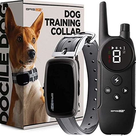 Best E collars For Small Dogs top 10 - HealthCare4Dog