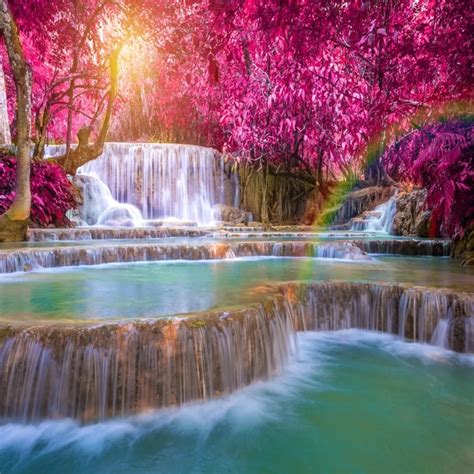 Laeacco Natural Waterfall Forest Trees Resort Scenic Photography Backgrounds Customized ...