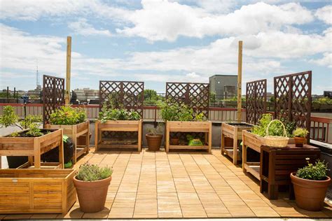 What to Consider Before Planting a Rooftop Garden