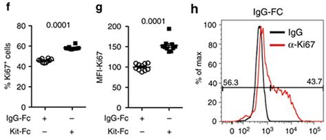 c-Kit: Tumor Progression and Therapeutic Opportunities | Sino Biological