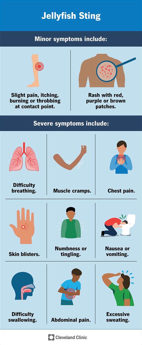 Jellyfish Sting: Symptoms & Treatment