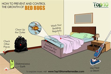 How to Prevent and Control a Bed Bug Infestation | Top 10 Home Remedies