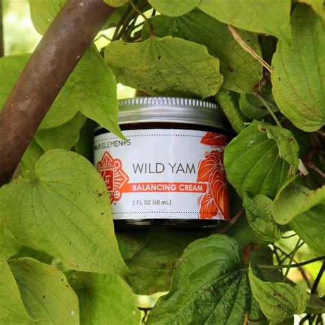 Wild Yam Women's Cream – Four Elements Herbals