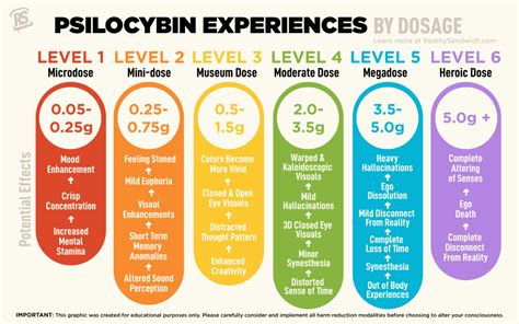 Microdosing Psilocybin & Widespread Dosage Defined | Future of Mushrooms