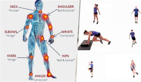 These Are The Best Exercises To Strengthen Joints And Tendons