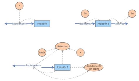Modelo poblacionales | Insight Maker