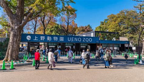 8 Japan Zoos To Explore With Kids On A 2023 Holiday There