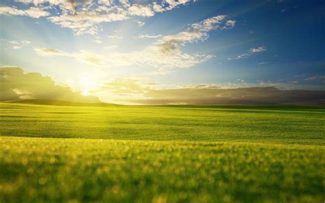 Sky and Grass Wallpapers - Top Free Sky and Grass Backgrounds - WallpaperAccess