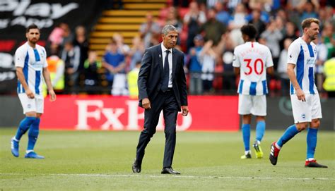 Football Manager 2019 Team Guide: Brighton and Hove Albion