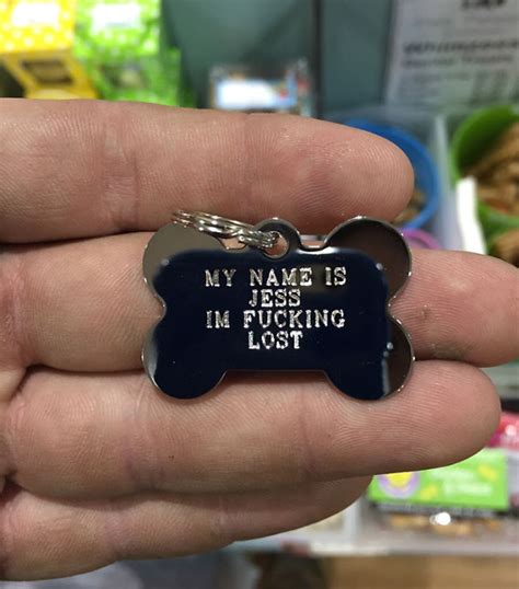 44 Hilarious Collar Tags For Pets Who Tend To Get Lost | Bored Panda