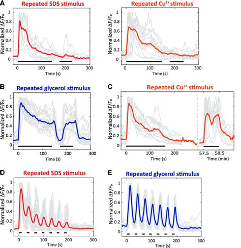 C. elegans habituates to a chemical repellent but not to a hyperosmotic... | Download Scientific ...