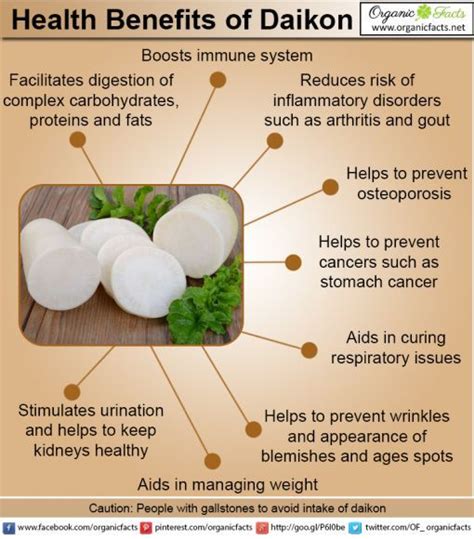 Daikon Radish Health Benefits - PaisleyatGarrett