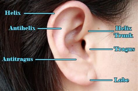 How to Care for a Helix or Forward Helix Piercing - TatRing