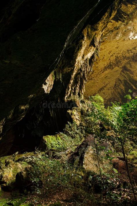 Rock formations in cave stock photo. Image of stalagmite - 165247746