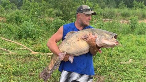 Catfish weighing over 81 pounds grabbed out of Mississippi lake