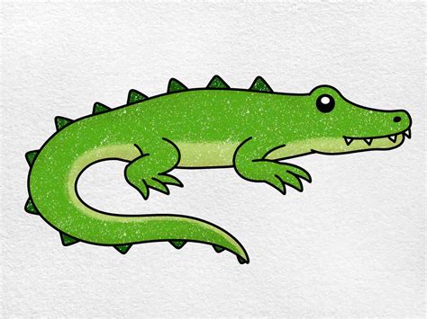 Discover 79+ sketch of a crocodile best - seven.edu.vn