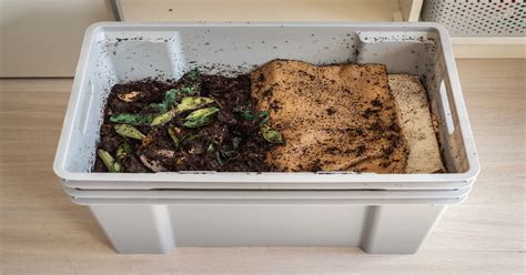 Worm Composting (Vermicomposting) - GIY Plants