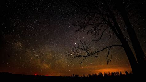 Stars, silhouette, trees, night sky HD wallpaper | Wallpaper Flare