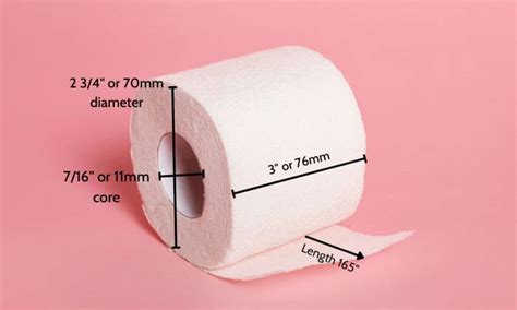 Toilet Paper Roll Dimensions (Size Chart Included)