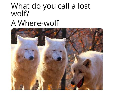 Extreme Wolf Memes