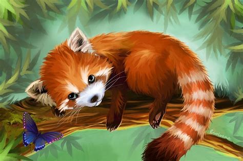 Red Panda by Evolvana on DeviantArt