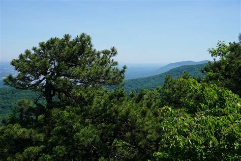 Harriman Hiker: Harriman State Park and Beyond: Black Rock Mountain in Black Rock Forest