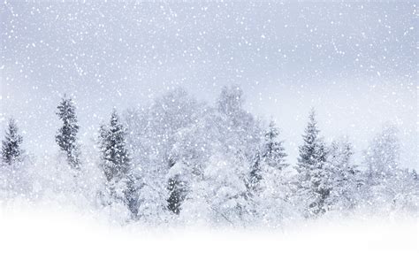 Blizzard Wallpapers - WallpaperSafari