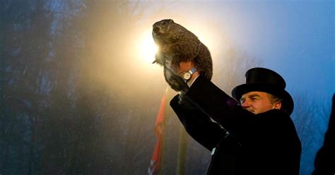 Where Does Punxsutawney Phil Live? All About Groundhog Day's Star