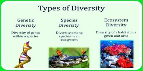 Species Diversity - QS Study